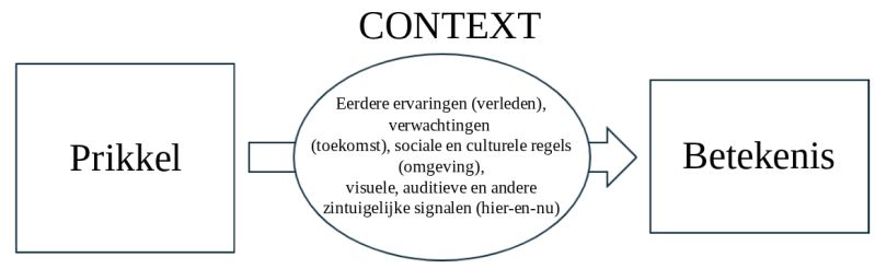 Bestand:Context Neuropsychologisch.jpg