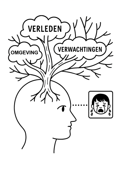 Bestand:Brein en context.png
